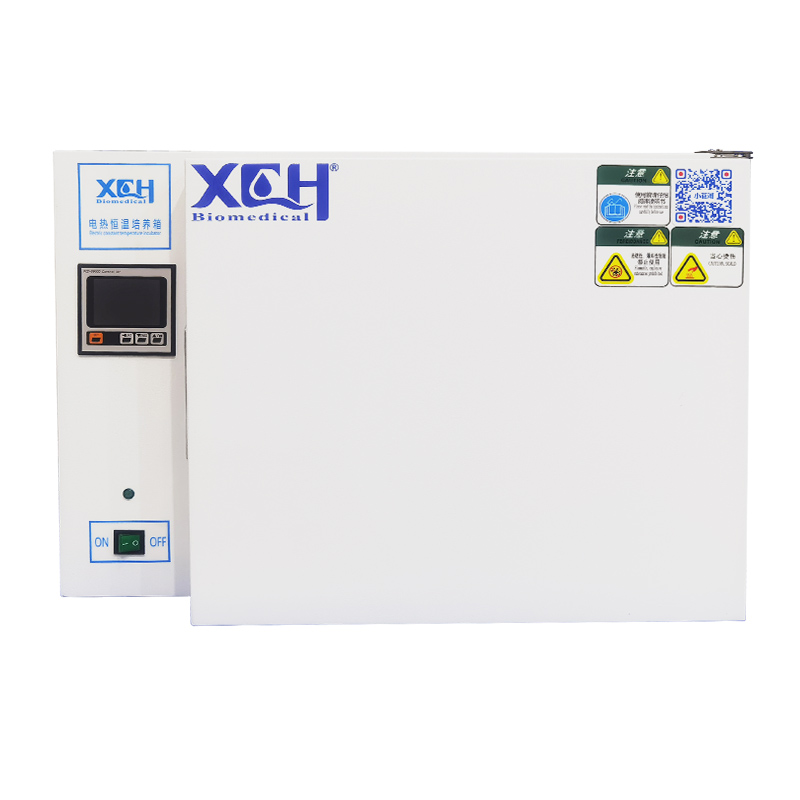 Incubadora de calefacción eléctrica digital 400L (RT+5℃ ～ 65℃)