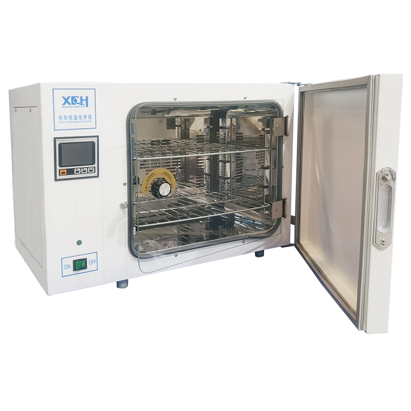 Incubadora de calefacción eléctrica digital 600L (RT+5℃ ～ 65℃)